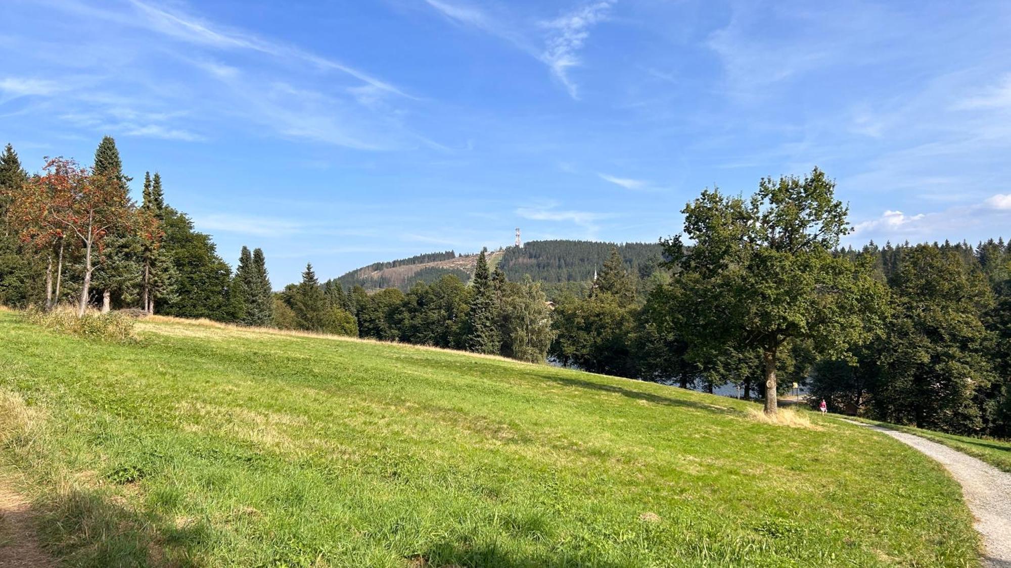 Ferienapartment Hahnenklee Apart 1 Гослар Екстер'єр фото